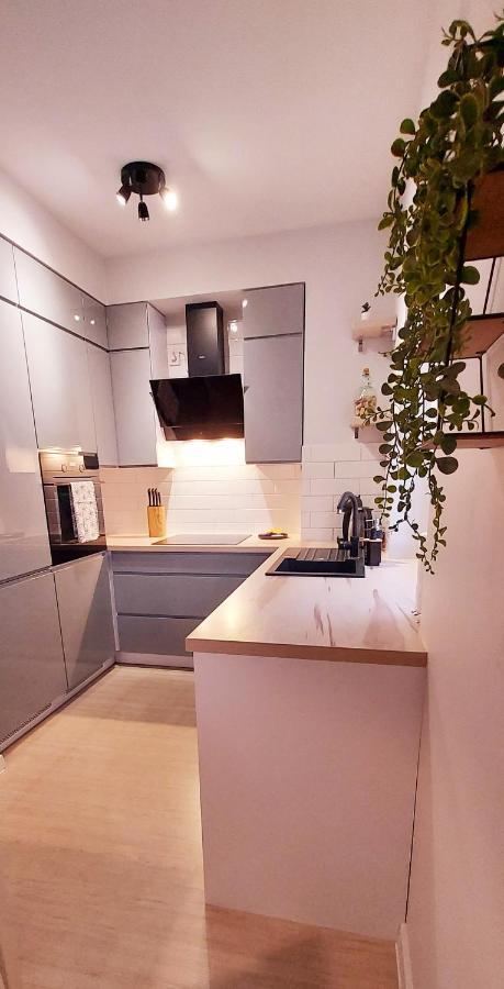 White Velvet Apartment Gorzow Wielkopolski Luaran gambar